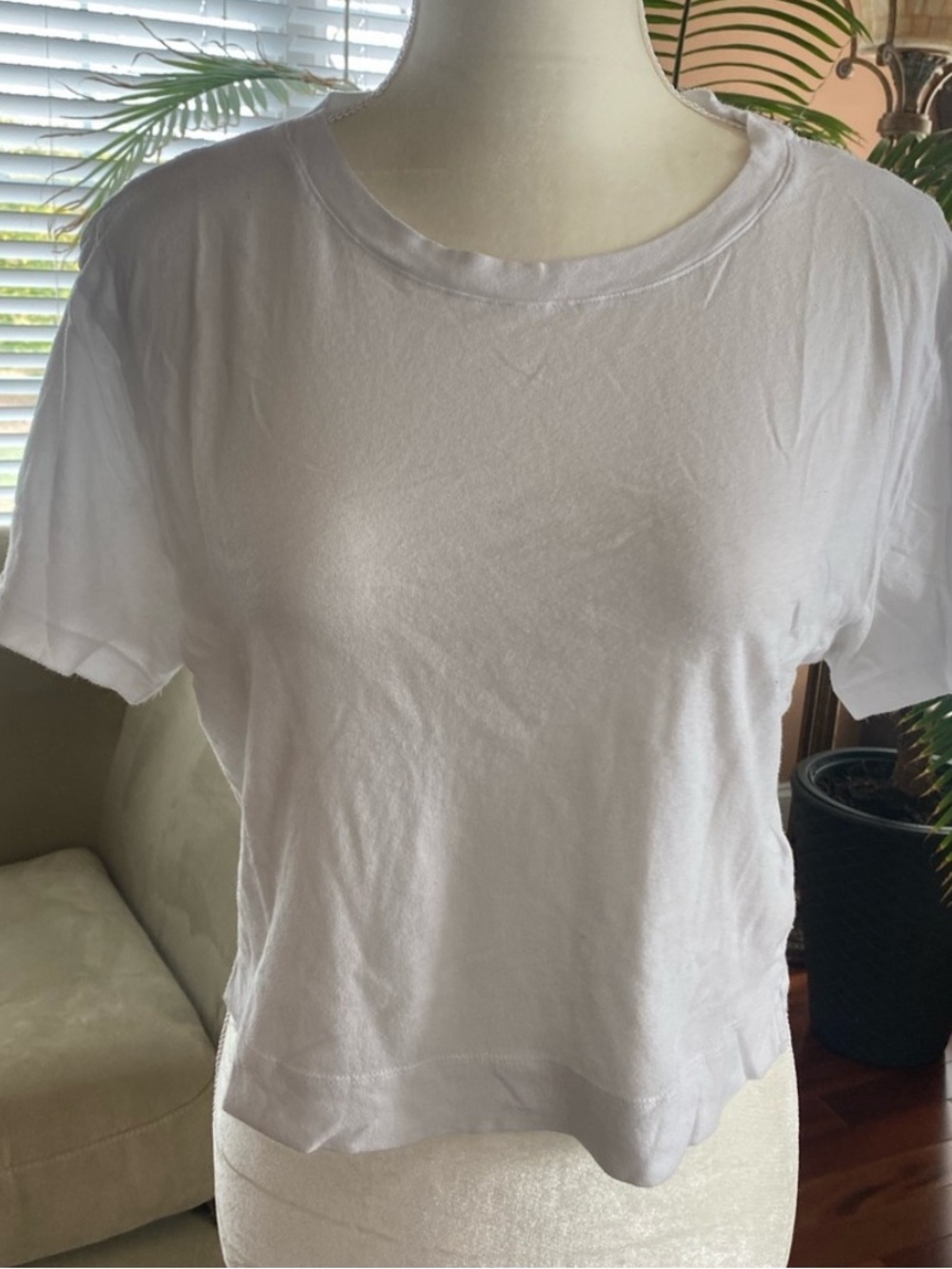 Splendid Cropped Tshirt